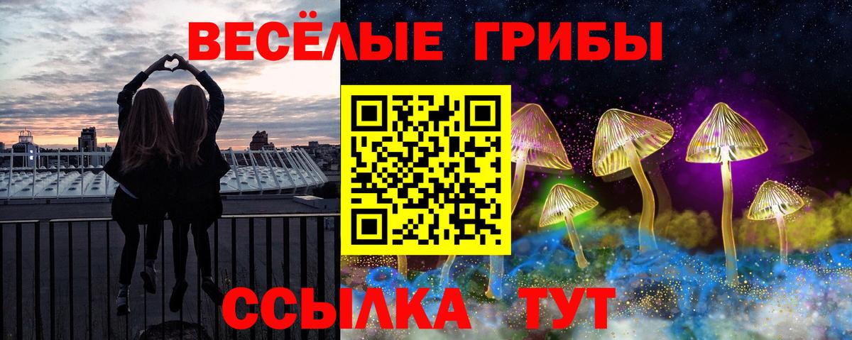 Ижевск  что такое наркотик  Вход с VPN  Псилоцибиновые грибы Cubensis 